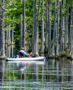 Fishing in a Cypress Swamp