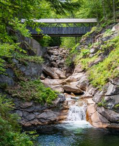 Sentinel Pine Bridge