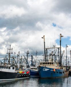 NB Fishing Fleet 2