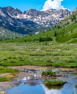 Alpine Meadow Reflection 1- Lamoille Canyon