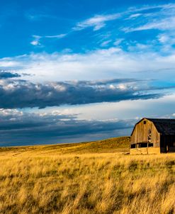 Barn-Burns