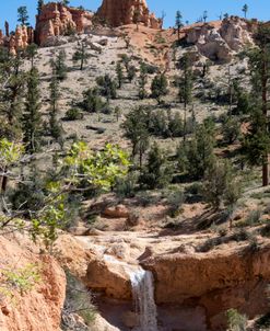 Canyon Waterfall