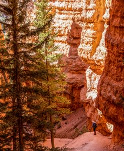 Hiker Navajo Loop