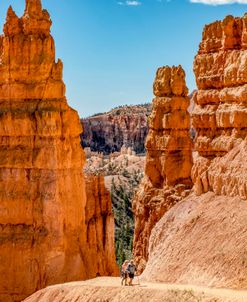 Hikers In The Hoodoos