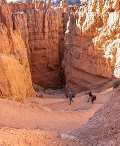 Switchbacks In Bryce Canyon