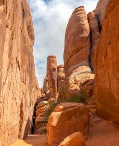 Arches NP – Sand Dune Arch Trail