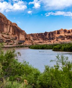 Colorado River Scenic 3