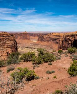 Canyonlands Scenic