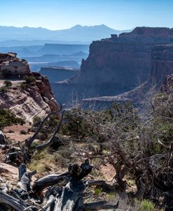 Shafer Canyon 1