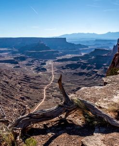 Off Road – Canyonlands