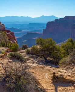 Shafer Canyon