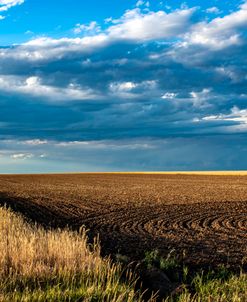 Plowed Field – Burns