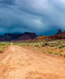 Road Into The Storm