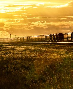 Train At Sunset