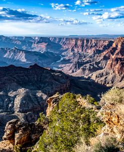 Grand Canyon Dawn