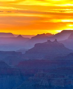 Grand Canyon Navajo Sunset
