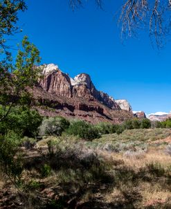 Zion Np – Altar Of Sacrifice