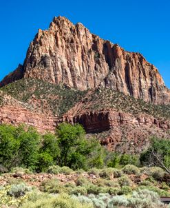 Zion Np – The Watchman