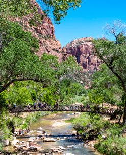 Zion Bridge At Ep Trail