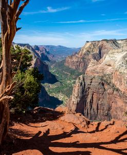 Zion Canyon – Observation Point 2