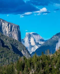 Half Dome From Tioga Rd 3