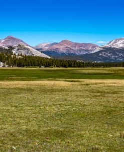 Toulumne Meadow