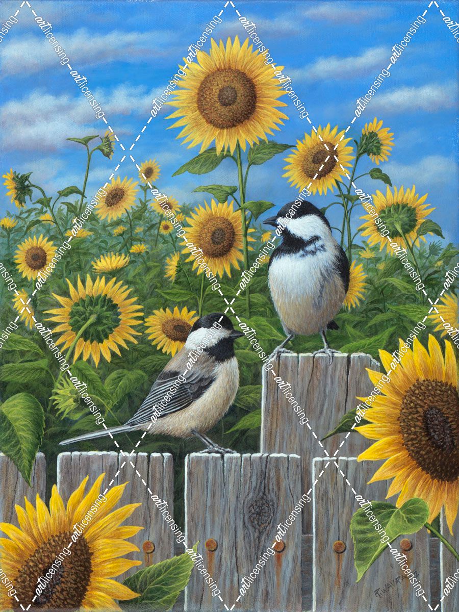 Chickadees And Sunflowers