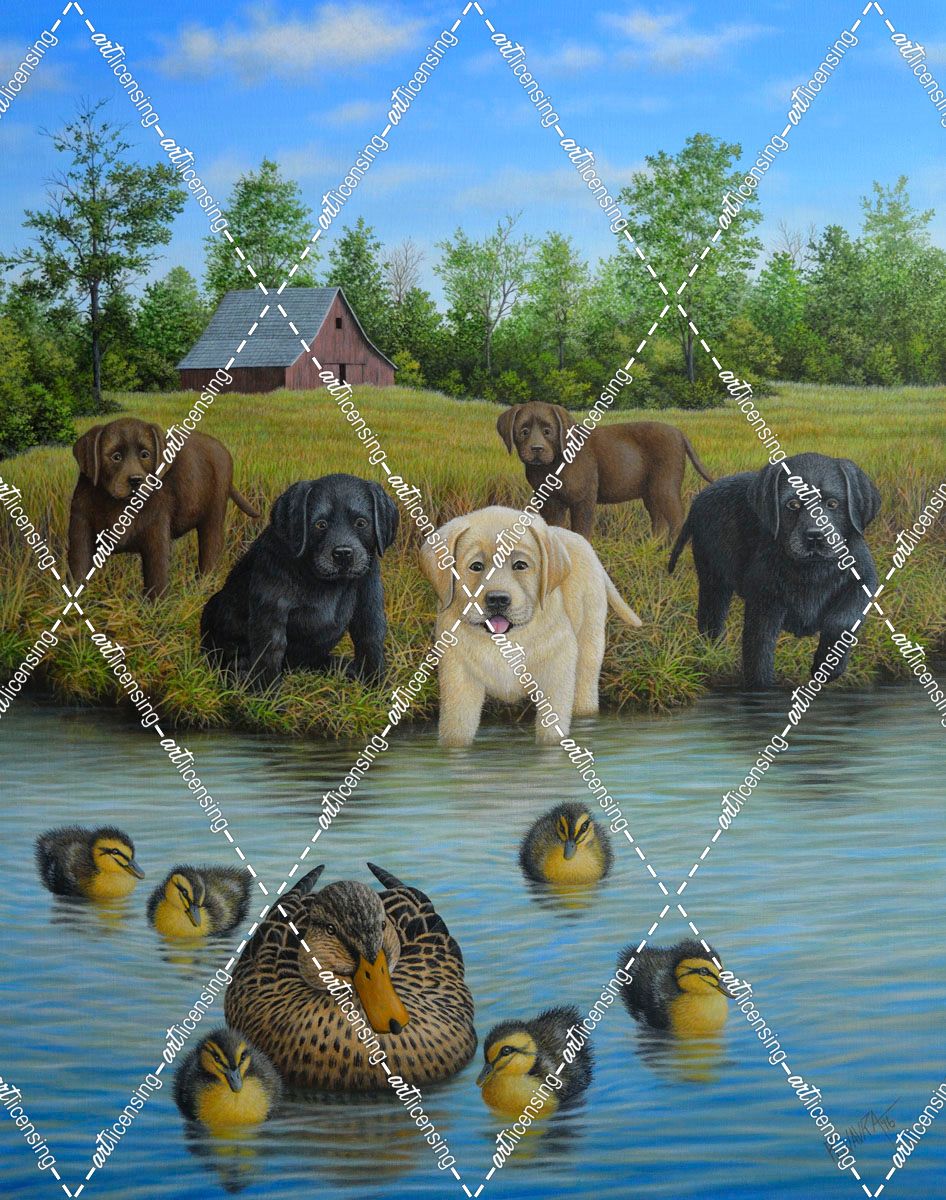 Puppies And Ducklings