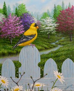 Goldfinch and Daisies