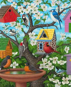 Birds and Birdhouses