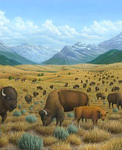 The Bison Trail