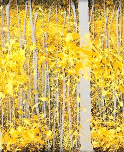 Panor Aspens Grey Forest