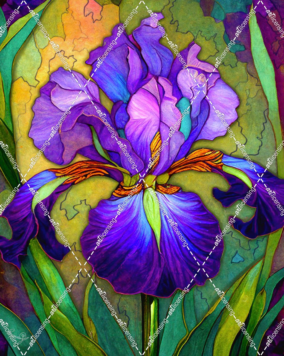 Nettie’s Garden – Purple Iris 2