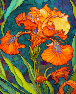 Nettie’s Garden – Orange Iris 2