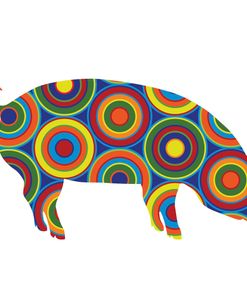 Pig Abstract Circles