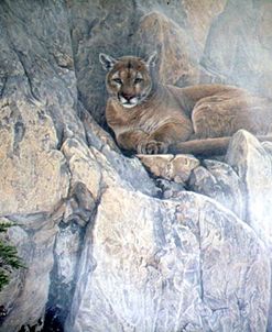 Mountain Mists – Cougar