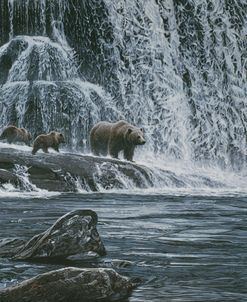 Grizzlies / Falls