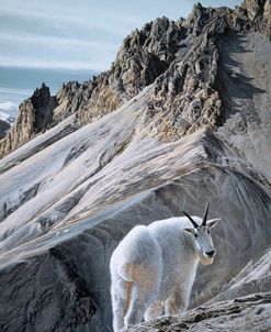 Ramparts- Mountain Goats