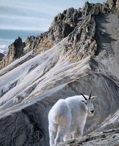 Ramparts- Mountain Goats