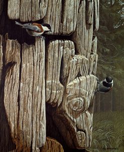 Chickadees On Totem