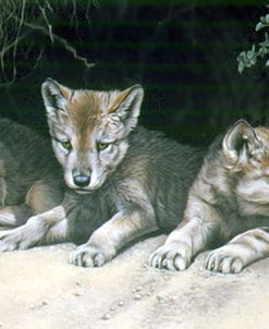 Three Little Wolves