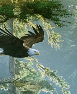 Forest Flight / Eagle