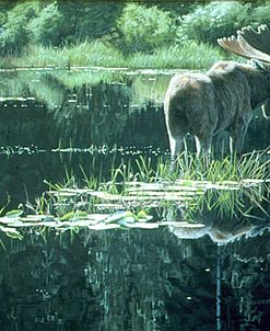 Summer Pond