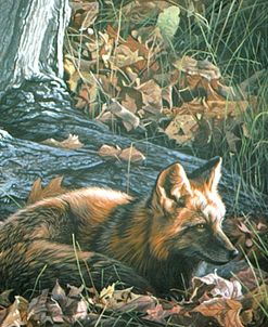 Autumn Leaves- Red Fox