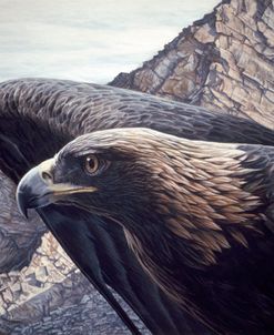 Golden Eagle 2