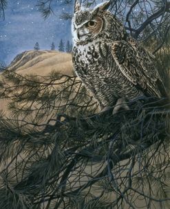 Great Horned Owl 2