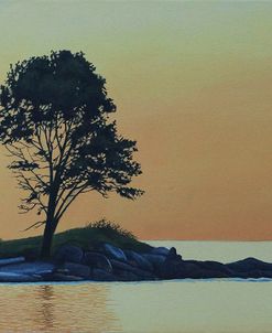 Amber Morning