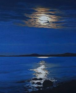 Moonlit Shore