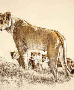 Lioness And Cubs