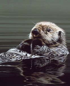 Just Resting – Sea Otter
